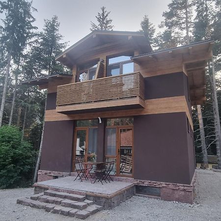 Hotel Restaurant 6Ato Rila Panicziszte Zewnętrze zdjęcie