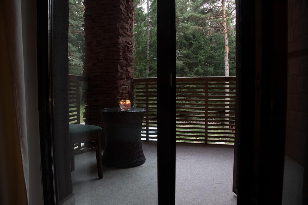 Hotel Restaurant 6Ato Rila Panicziszte Zewnętrze zdjęcie